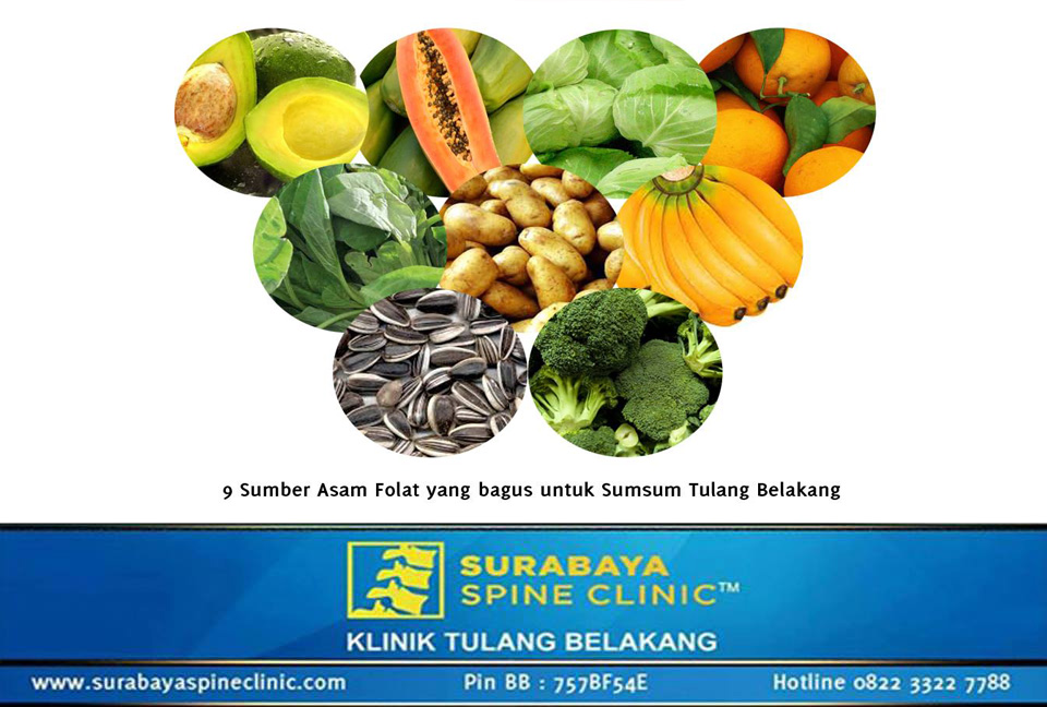 SUMSUM TULANG BELAKANG JUGA BISA LAPAR